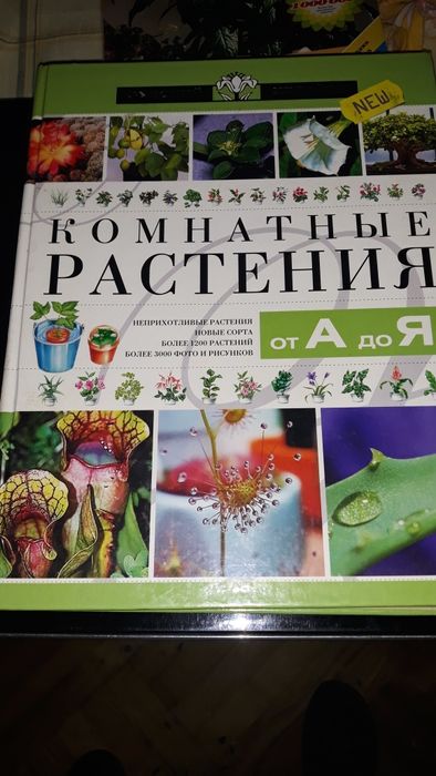 Книгасправочник о комнатных растениях
