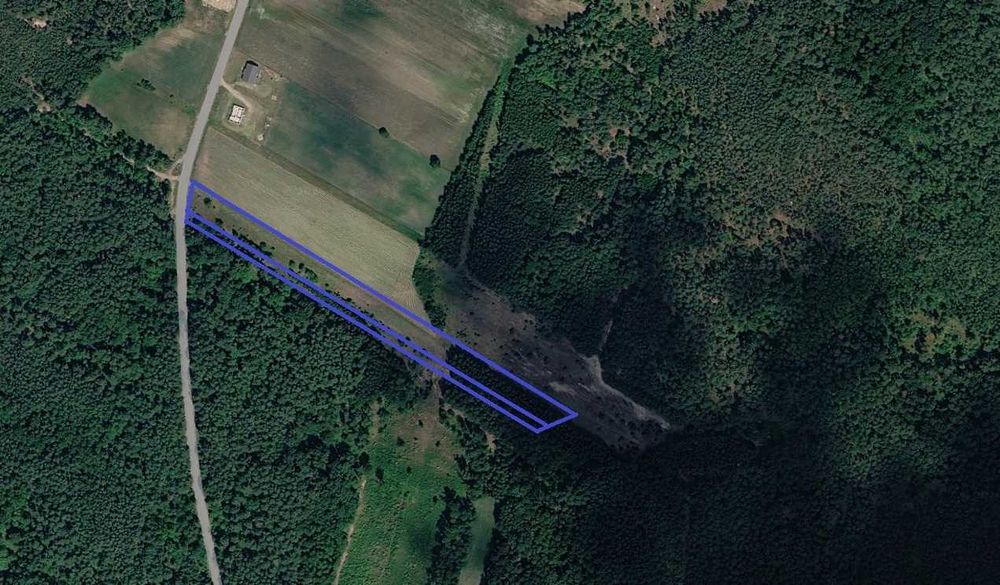 Działka budowlano - rolno - leśna 1,29 ha Korczaki Ostrołęka - Widok 2