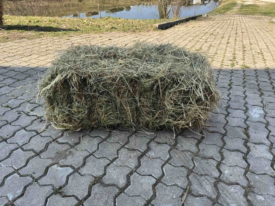 Продам сіно в тюках