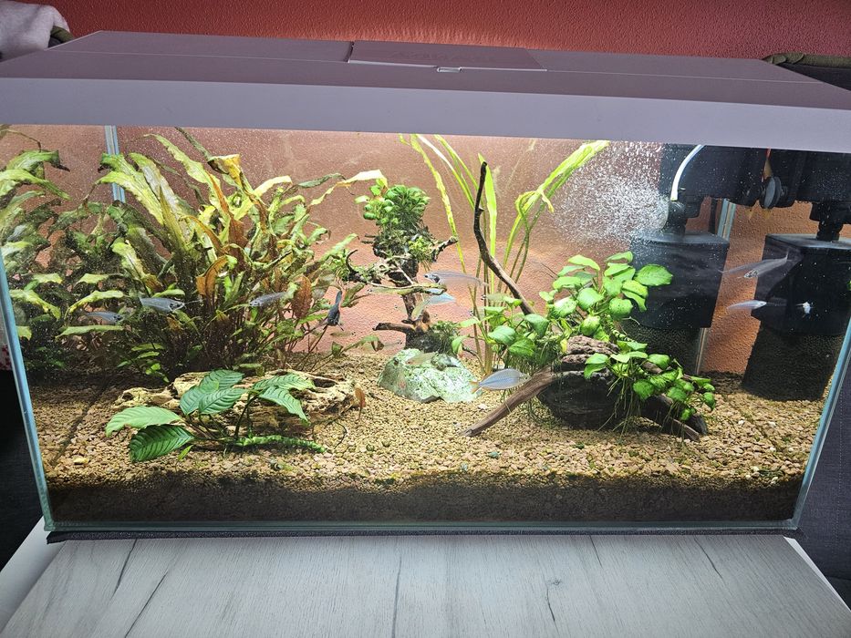 Sprzedam akwarium aquel 105l wraz z wyposażeniem