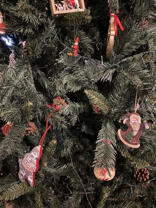 Pinheiro de natal