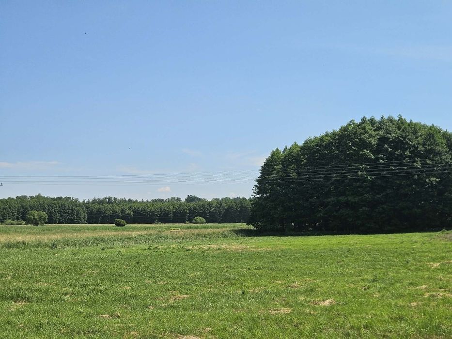 Łąka na sprzedaż Dolice