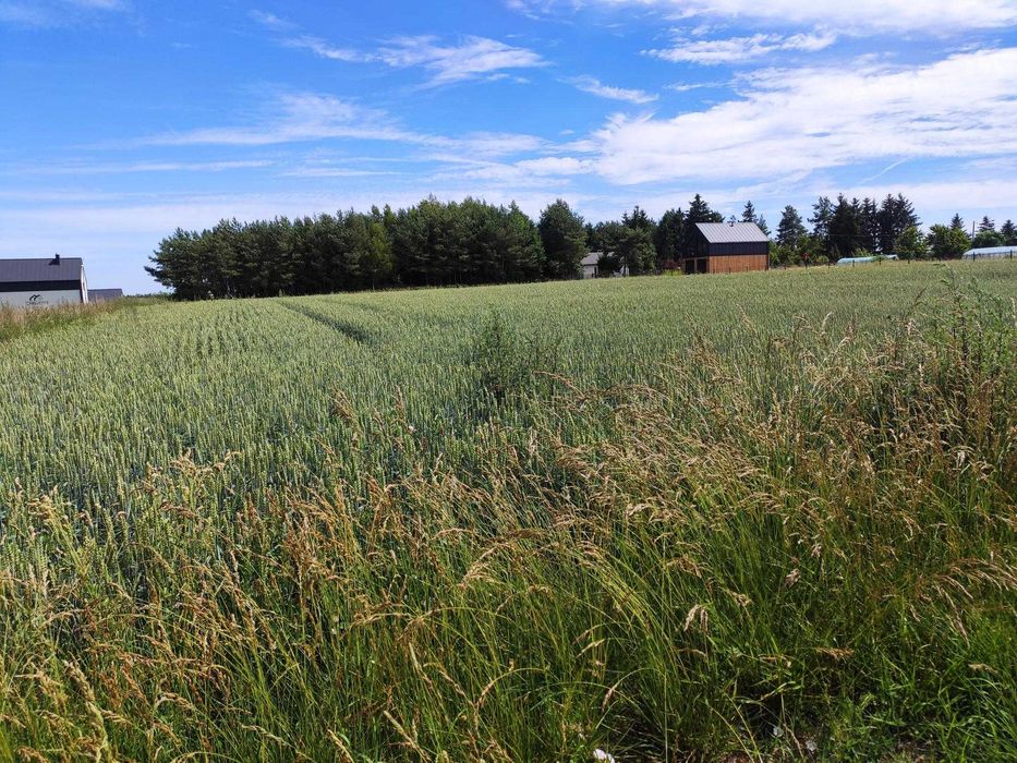 Działka 50 m od jeziora Ostrowickiego, pod budowę 4 domów. Widok na jezioro - Więcej
