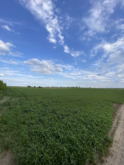 Продам земельну ділянку Обарів