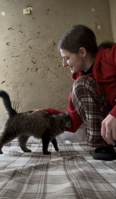 пухнаста маленька кішечка таббі кіт кішка киця стерилізована вік 1 рік