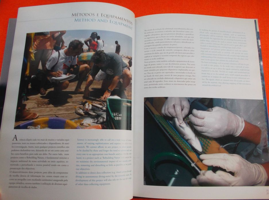 Sob os mares de Cabo Verde (Diving into adventure) – Vasco Pinhol