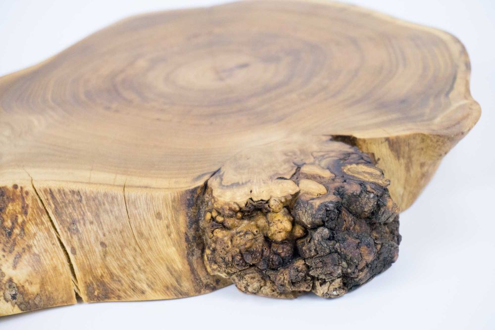 Patera do serwowania z akacji