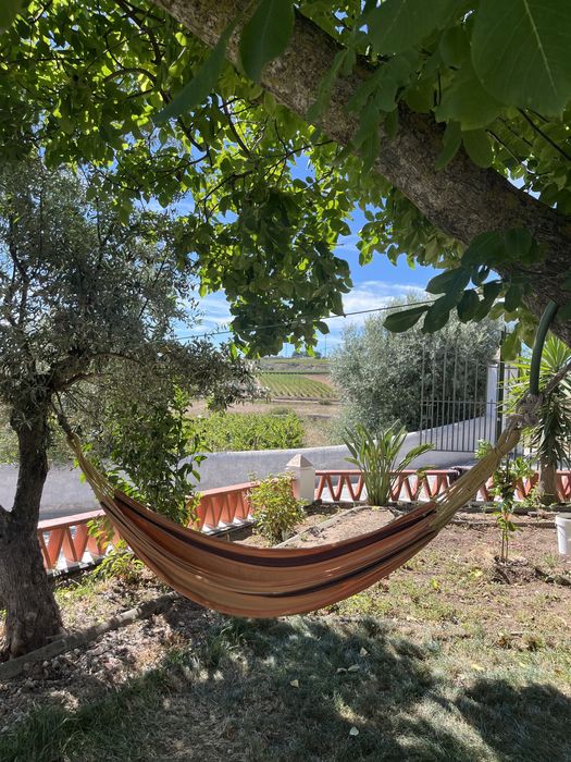 Monte Típico Alentejano