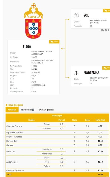 Poldro  preto psl.