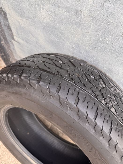 Резина R18 265/60 lassa competus