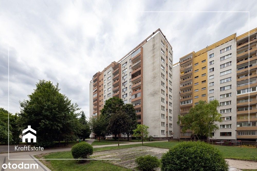 Zdjęcie 8