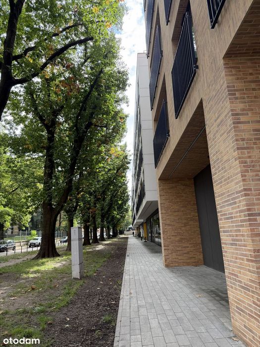 3-pokojowe, Apartamenty Dębowa