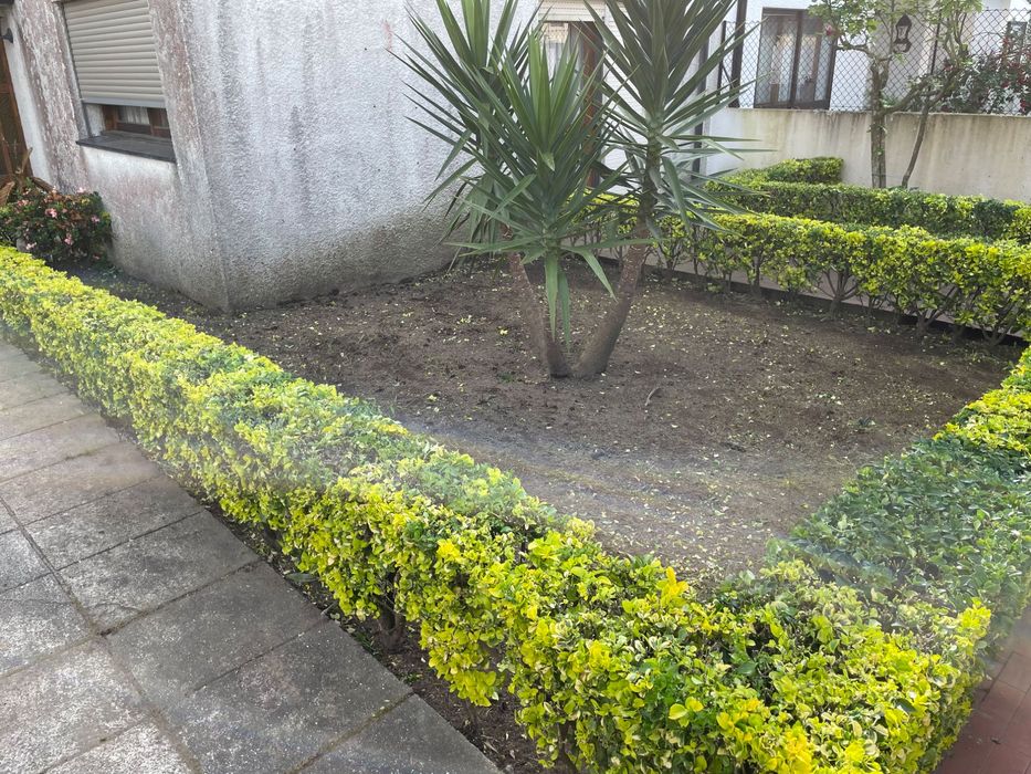 Serviço de jardinagem & Limpeza de terrenos