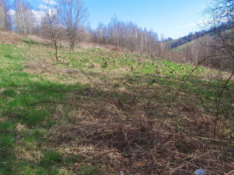 Sprzedam działke 75ar