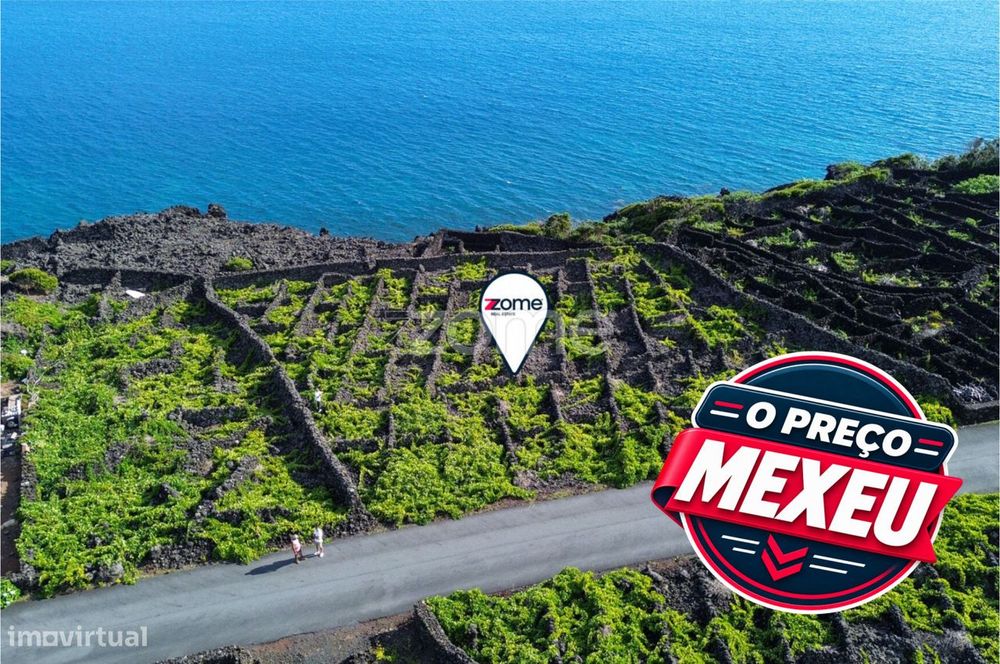 Vineyard plot of 1,467 m² in São Caetano on Pico Island