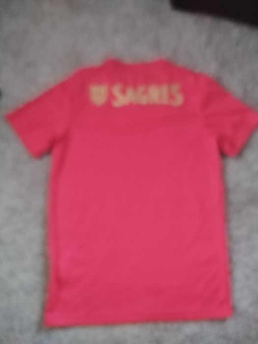 Camisola SLB BENFICA Tamanho 16 anos