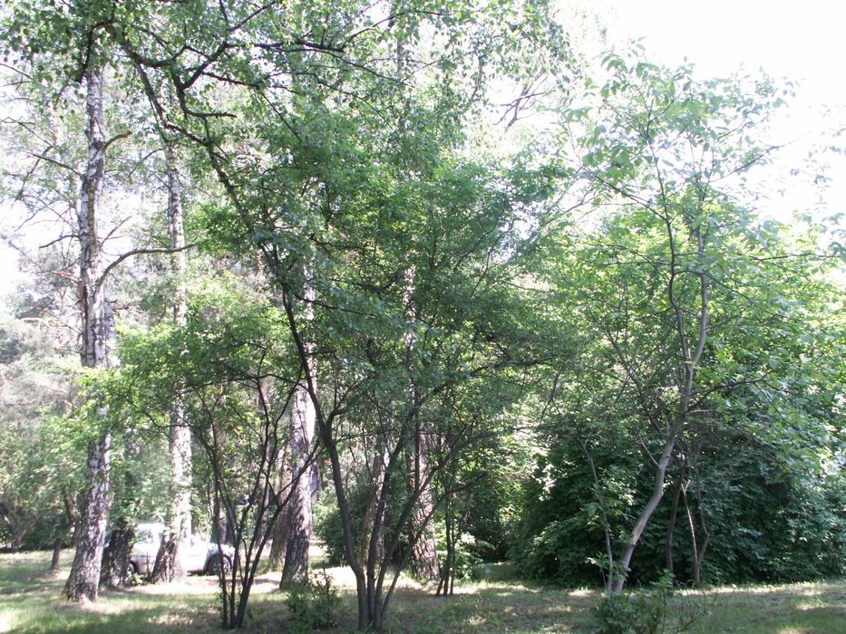 Do sprzedania działka budowlana