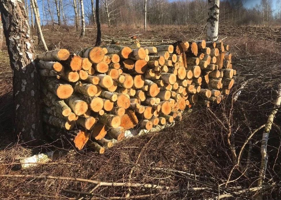 Drewno opałowe-kominkowe