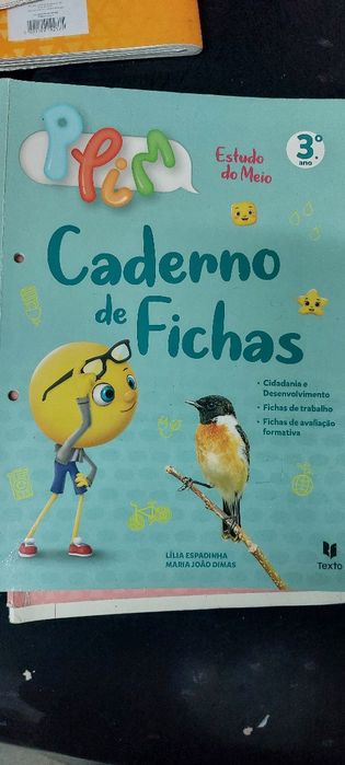 Livros e fichas 3 ano plim