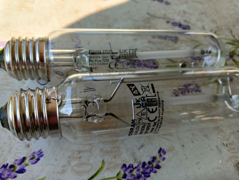 Żarówki sodowe z demontażu