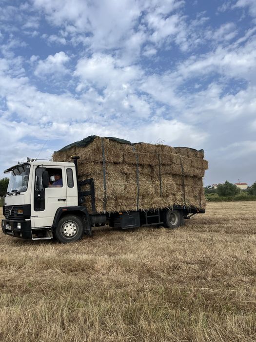 Vendo fardos de palha de feno espontaneo(nascido)