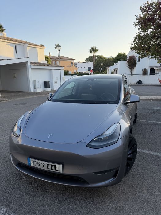 Tesla model Y performance