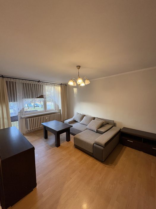 Przestronne 2 pokojowe mieszkanie do wynajęcia