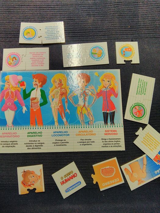 Puzzle didático do corpo umano