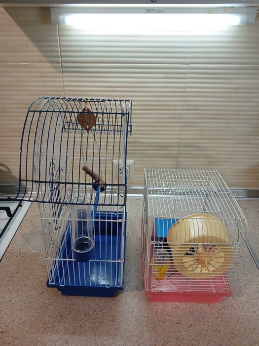 Клетки. Клетки..