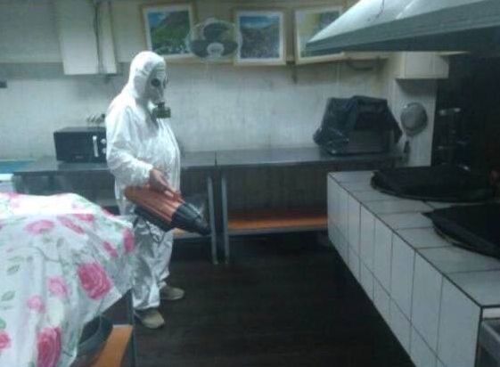 Дезинсекция уничтожение тараканов травля клопов Обробка від комах