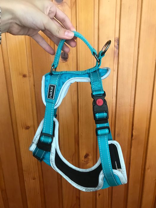 Фірмовий нашийник/нагрудник для собак від Rukka