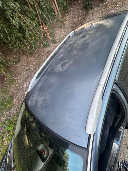 Peugeot 206 SW 1.4 HDI 2006