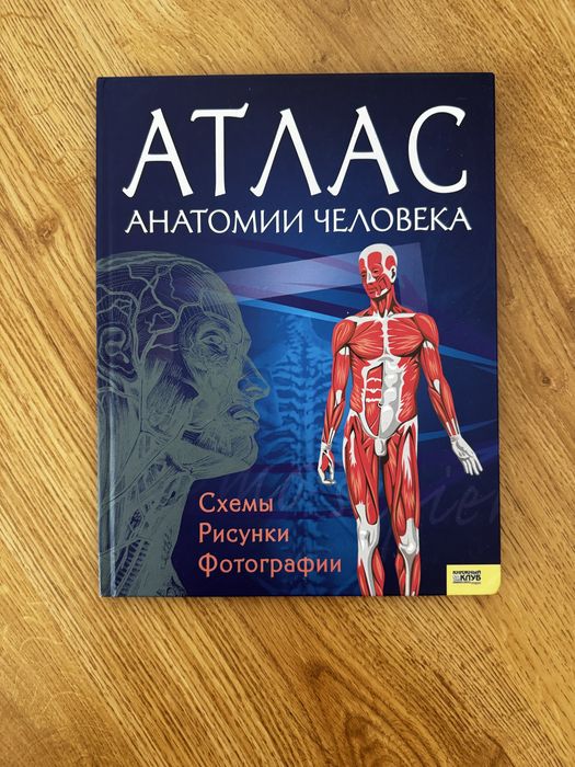 Продам атлас Анатомия человека.