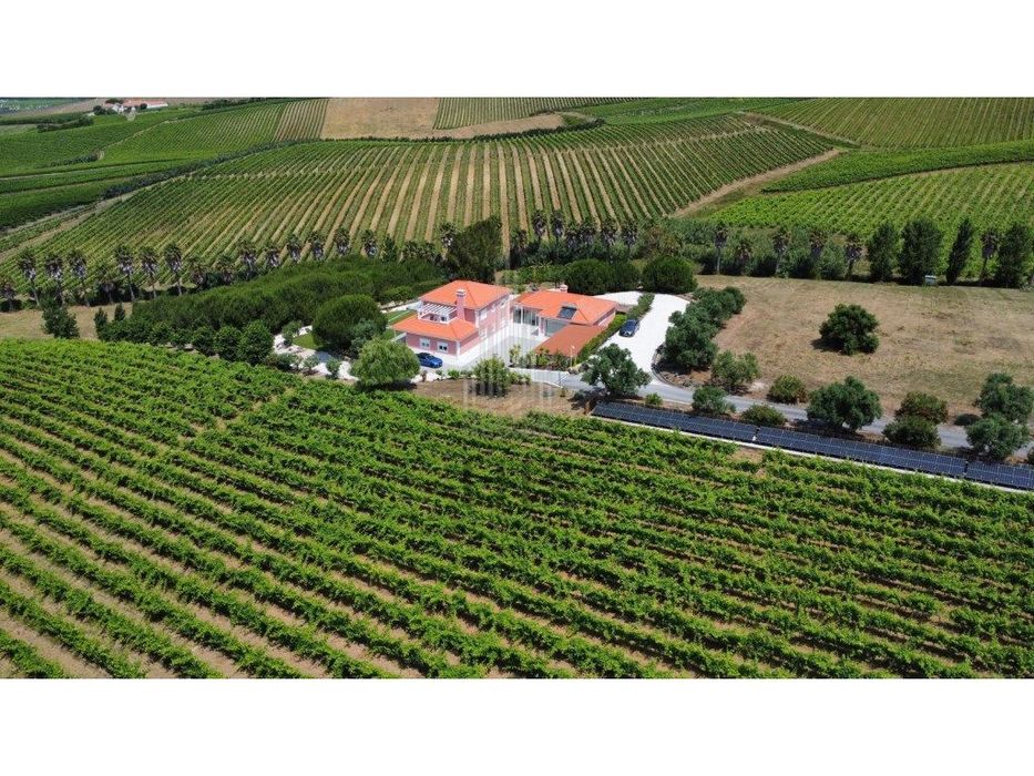 Oportunidade de Investimento: Quinta Vinícola de Luxo com Projeto d...