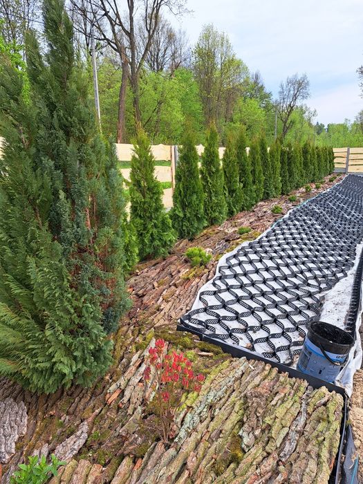 Koszenie Traw Porządkowanie Terenu Wycinka Drzew