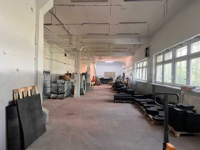 Magazyn 180 m² z dużą bramą wjazdową, jasny – Świdnica, od zaraz. Wynajem.