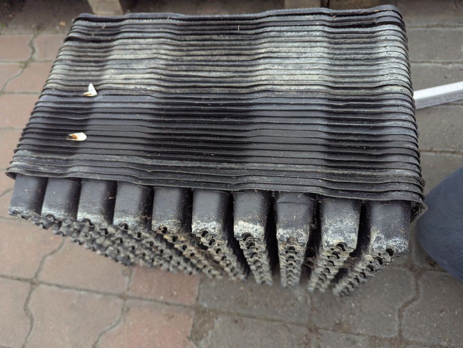 Wielodoniczki / multiplaty