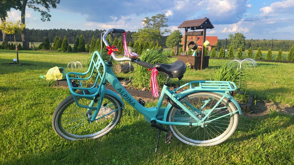 Rower holenderski dziewczecy Alpina 22 Clubb