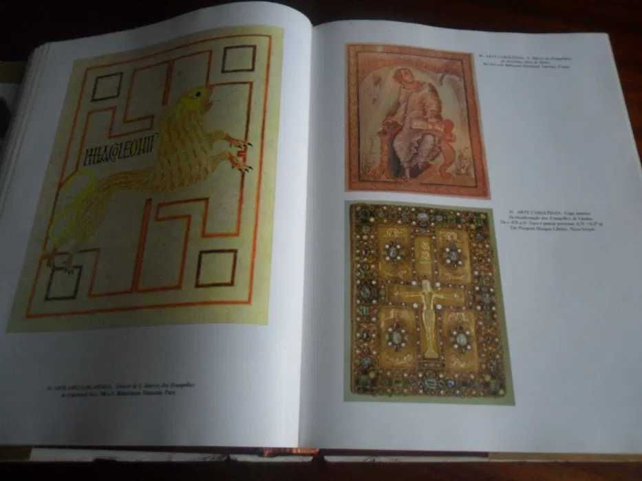 " História da ARTE " H. W. Janson