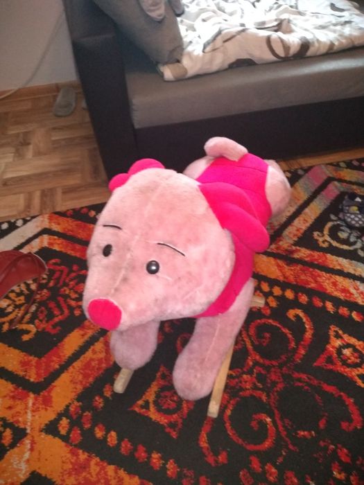 Świnka na biegunach