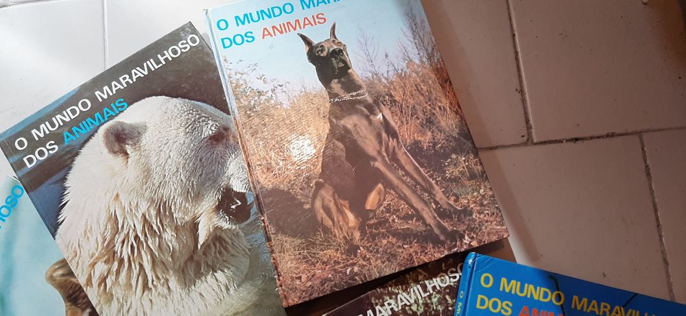 Coleção de 6 livros