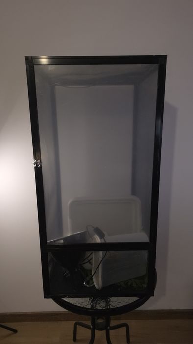 Zestaw dla kameleona – terrarium + UVB + klosz | gotowy start