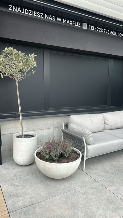 Donica dotee betonowa okrągła beton architektoniczny doniczka osłonka