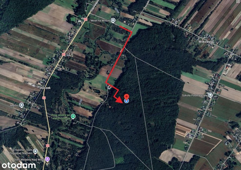 Klimatyczny dom 187 m2, na pięknej, zalesionej działce 5000 m2