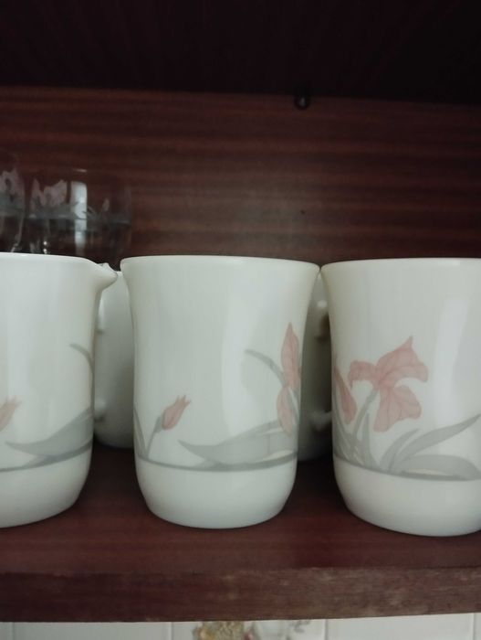 Serviço Arcopal porcelana e copos