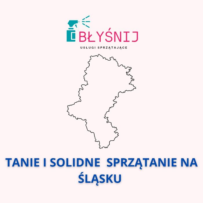 Sprzątanie mieszkania/domu