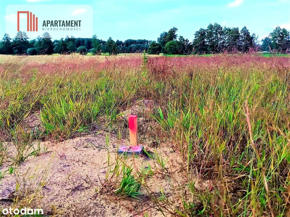 Zławieś Mała 1002m2 Cisza Spokój Super Lokalizacja