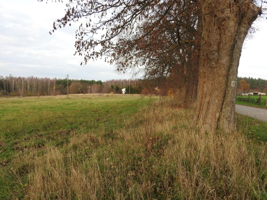 Działki budowlane w miejscowości Warcino