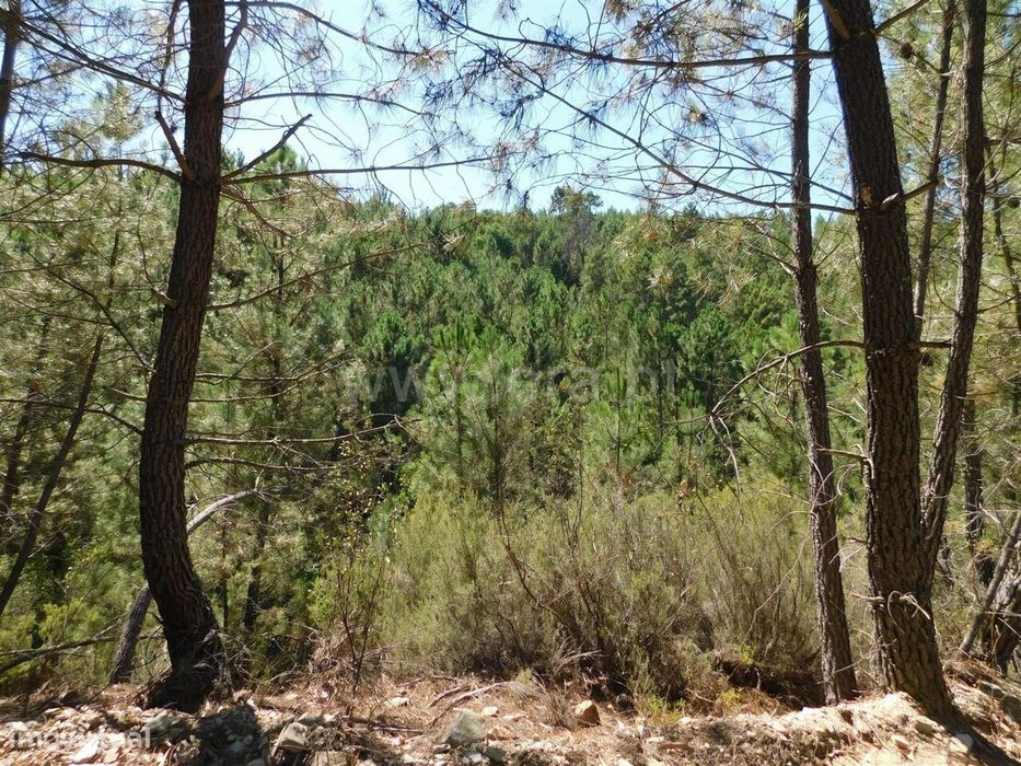 Terreno / Fundão, Enxabarda