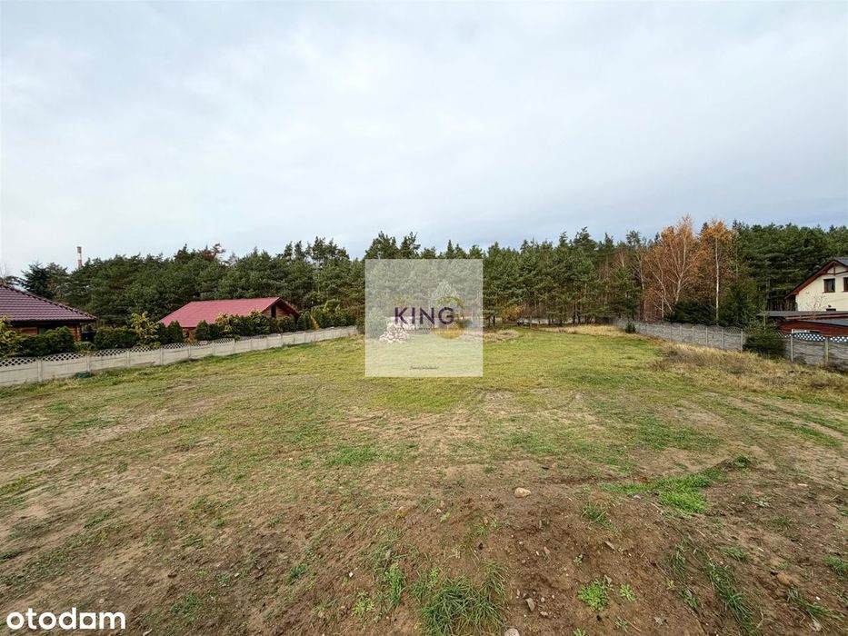 Działka przy lesie - Widok 3